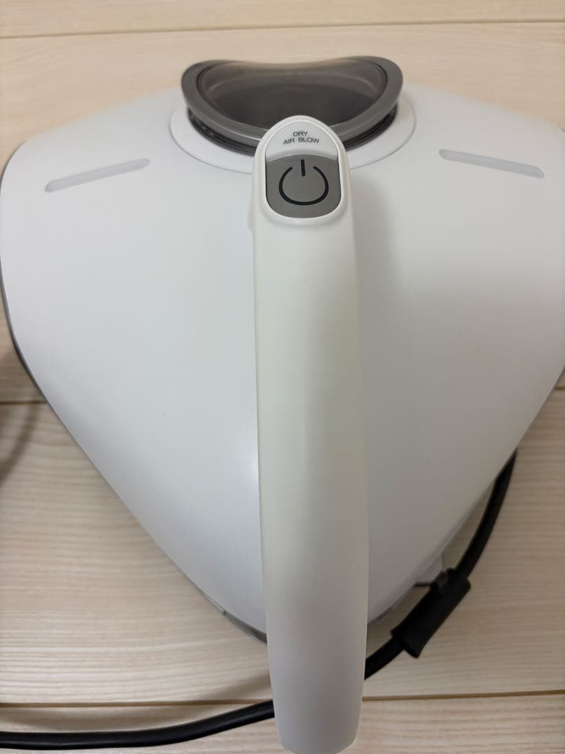 raycop 布団クリーナー RS3-100