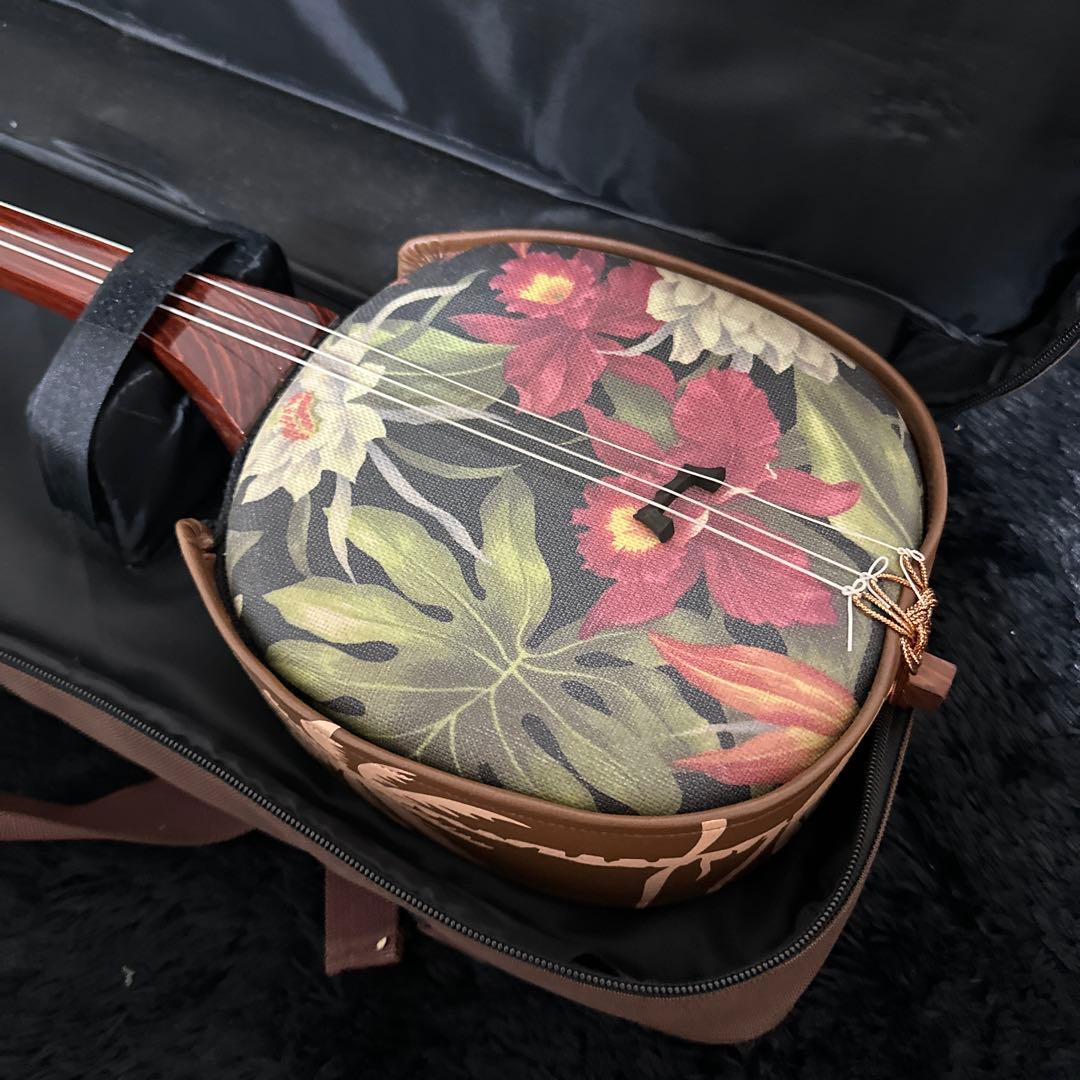 レア! 沖縄三線 和楽器 ハワイ 民族楽器 弦楽器 木目 付属品多数