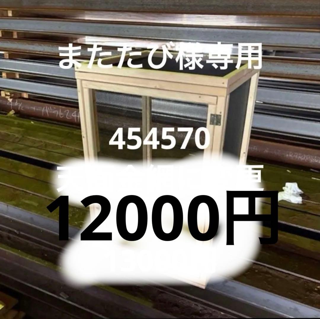 またたび　454570