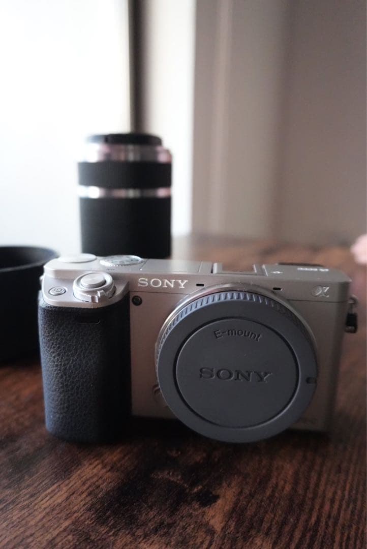 SONY α6000