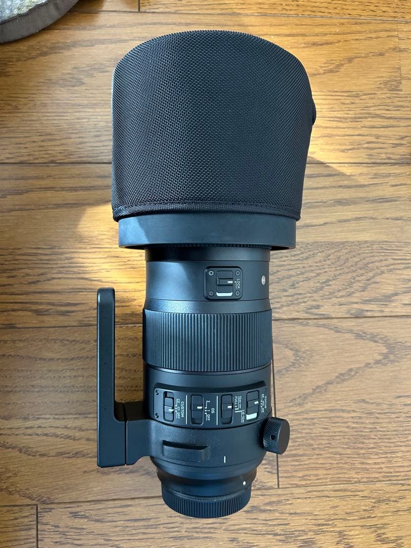 SIGMA 150-600mm F5-6.3 sports ×1.4テレコン付き