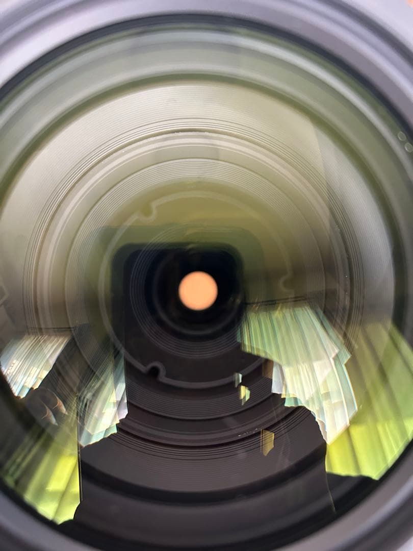 SIGMA 150-600mm F5-6.3 sports ×1.4テレコン付き