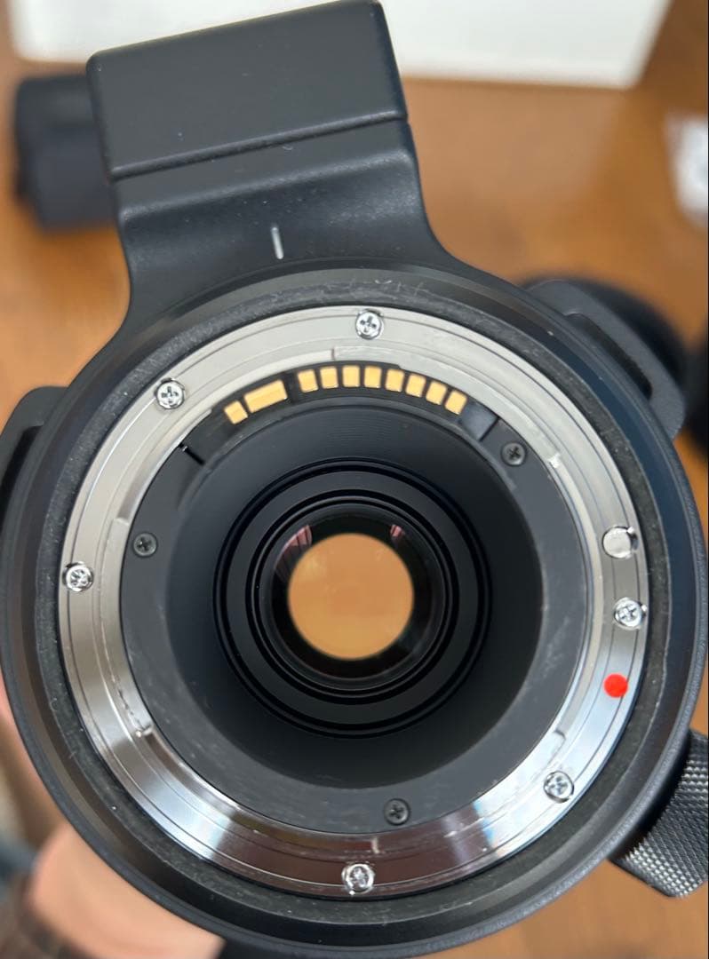 SIGMA 150-600mm F5-6.3 sports ×1.4テレコン付き