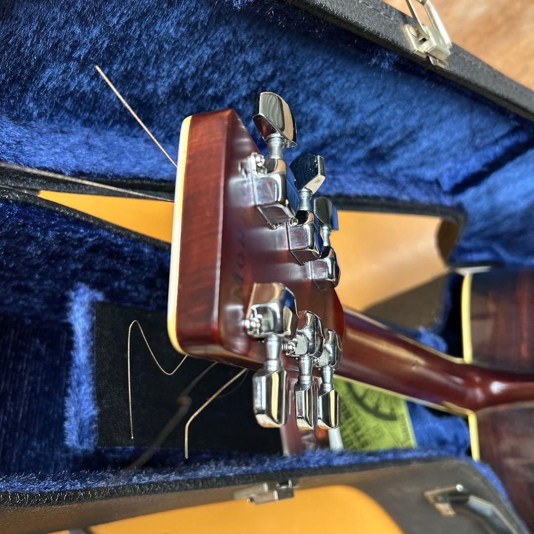 Morris アコースティックギター スプルース