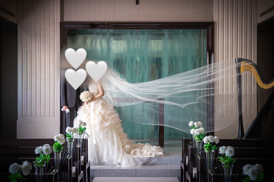 【美品】vera wang ３段ベール(ブランド専用カバー付き)