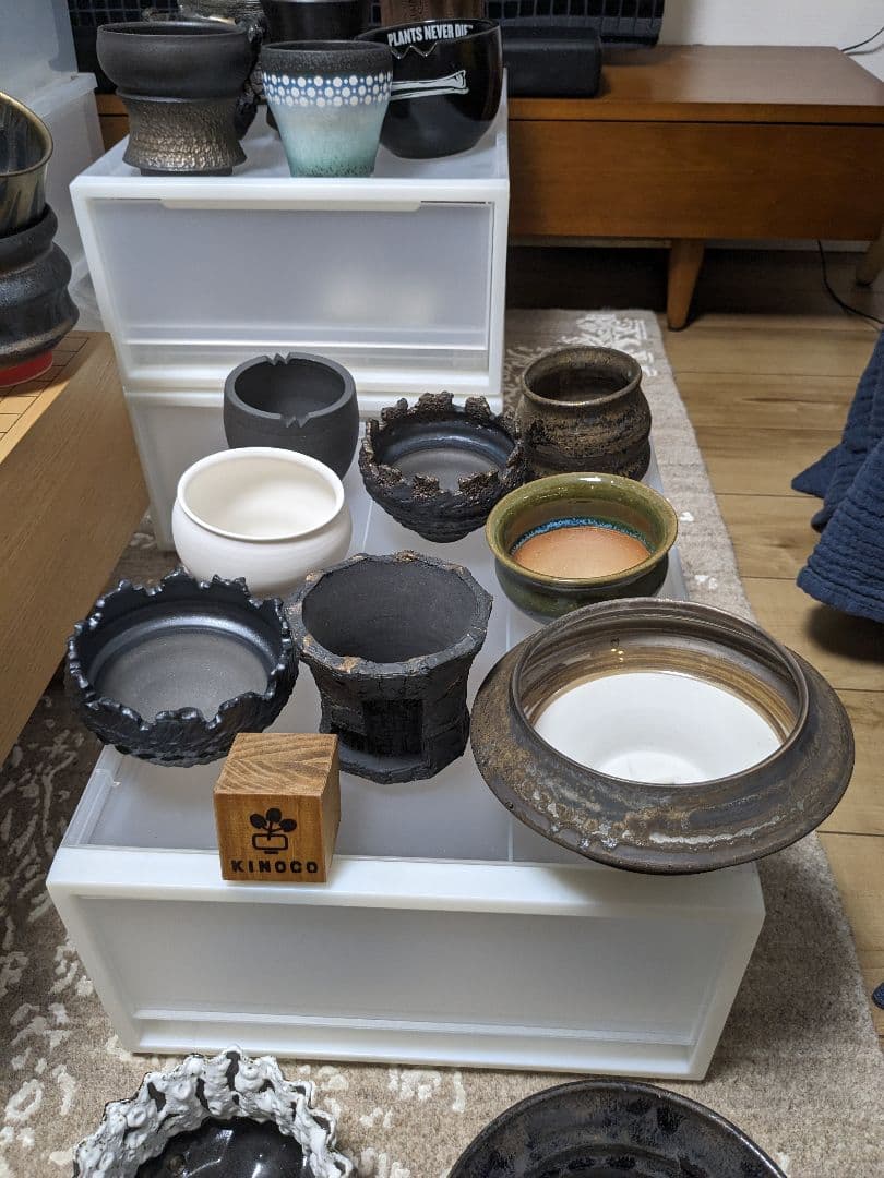 B*K様 【発送相談可】作家植木鉢　80鉢　おまけつき