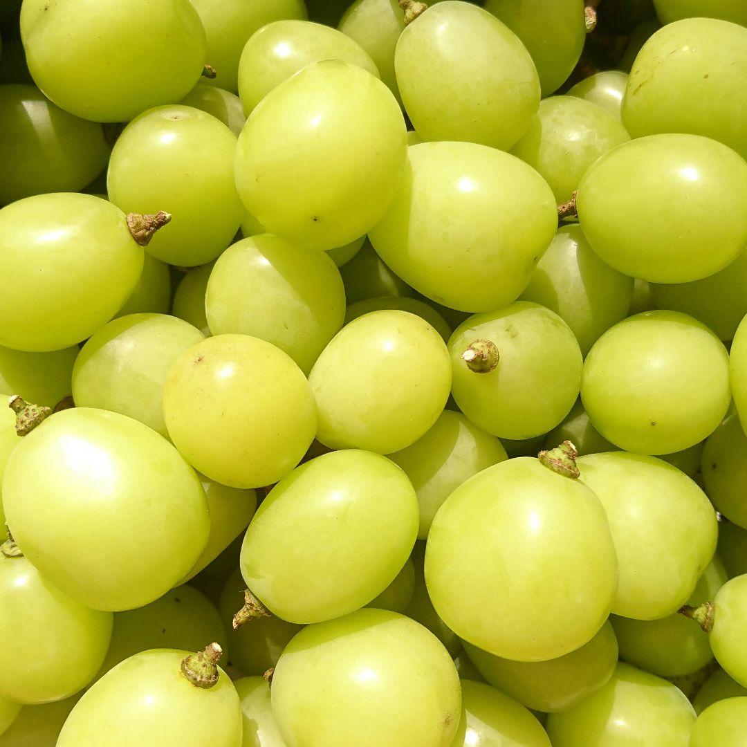 シャインマスカット４キロ、クイーンニーナ１キロ