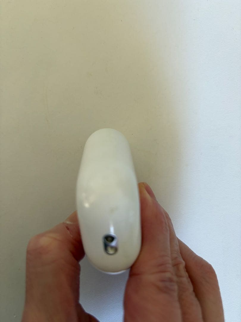 AirPods Pro 2本体 充電ケース付き ライトニング