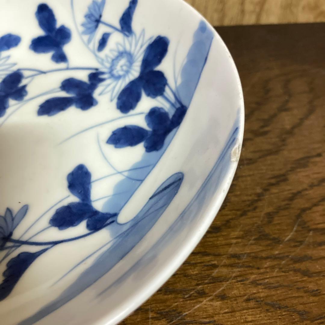 鍋島焼　古鍋島　染付　五寸皿　菊花七宝文　五客揃