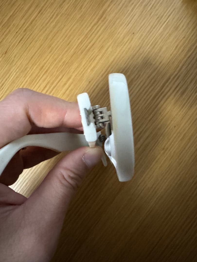 Celine セリーヌ　トリオンフ01