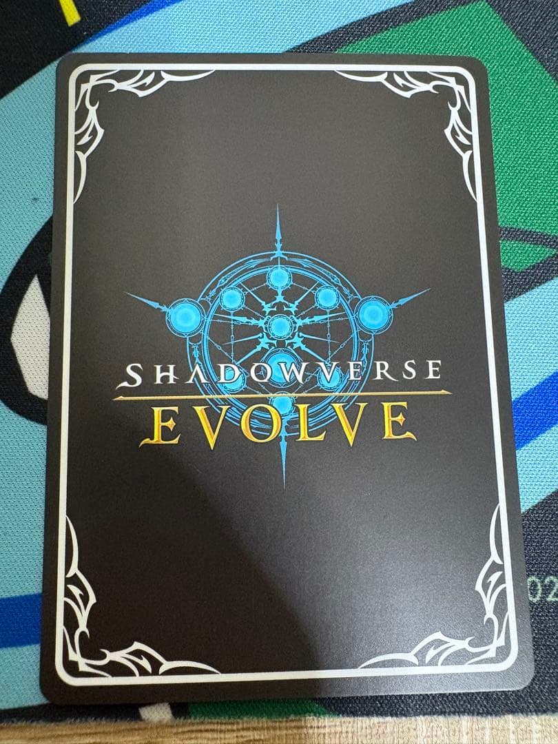 揺蕩う意志　スピネ　sp