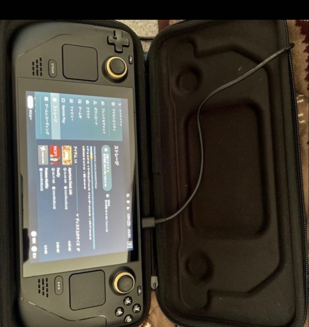 Steam Deck 専用ケース付き 充電器付き　256GB