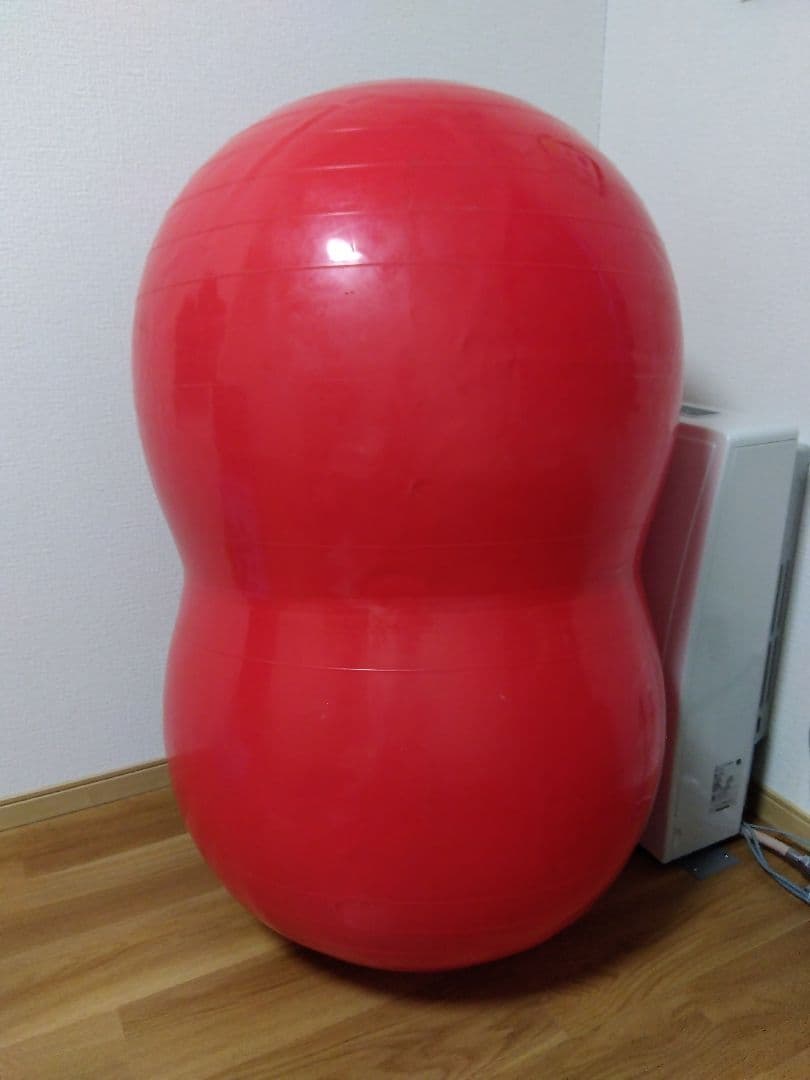 ギムニク GYMNIC フィジオロール 直径85cm