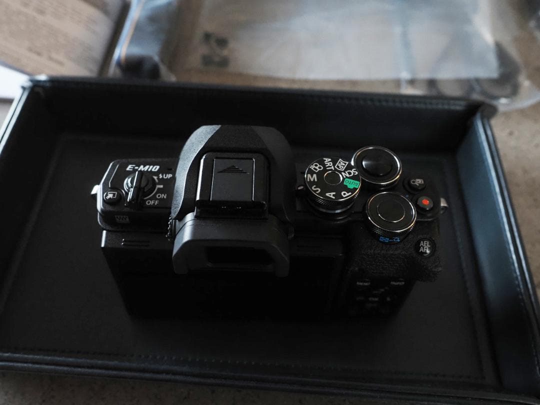 1月購入！ OLYMPUS OM-D E-M10 Mark Ⅳ　撮影1112枚