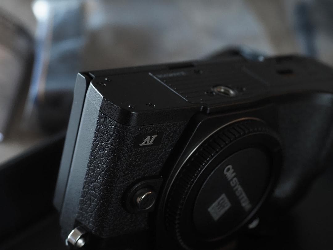 1月購入！ OLYMPUS OM-D E-M10 Mark Ⅳ　撮影1112枚