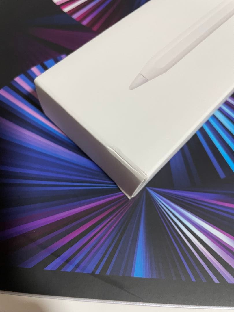 iPad Pro 11インチ 第3世代 256GB