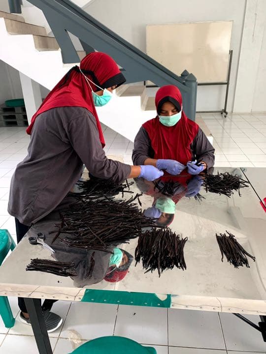 【43%OFF】バニラビーンズ 12cm以上 500g