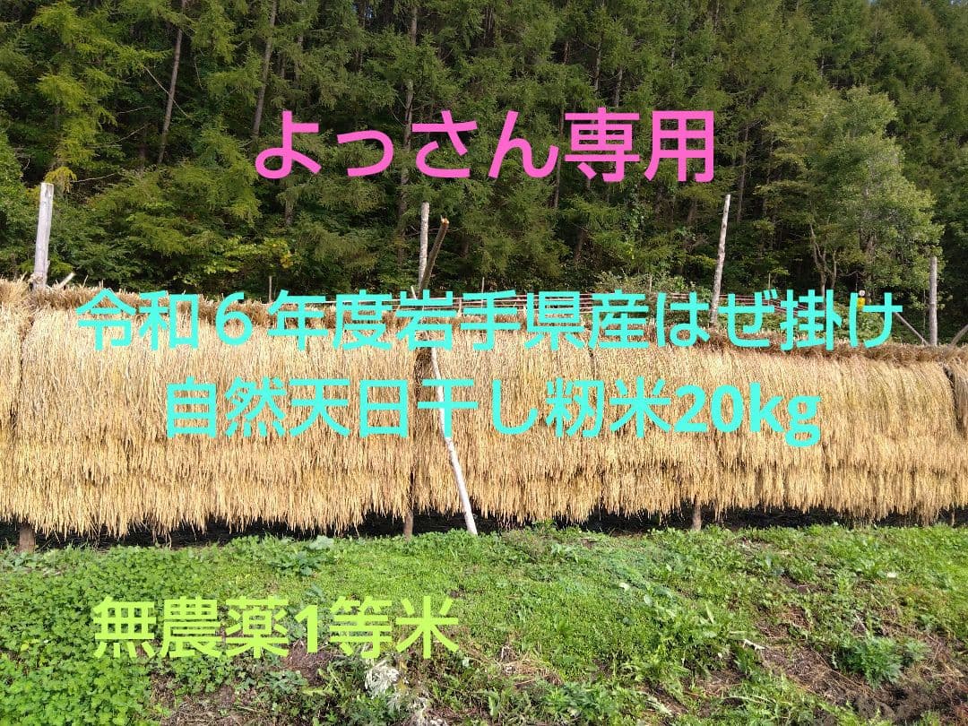 ★令和６年度岩手県産いわてっこ 自然天日干し籾米20kg