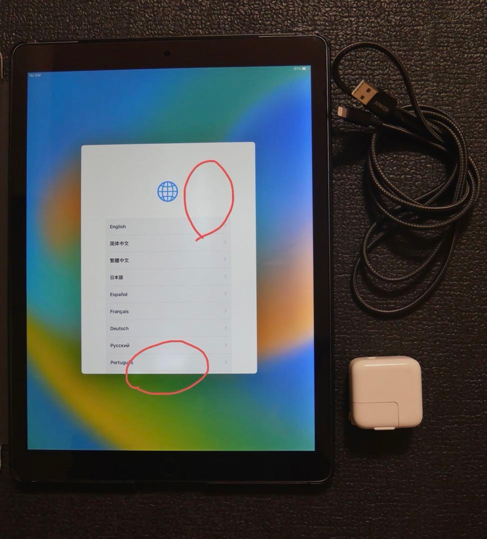 iPad Pro 12.9 第１世代　128GB