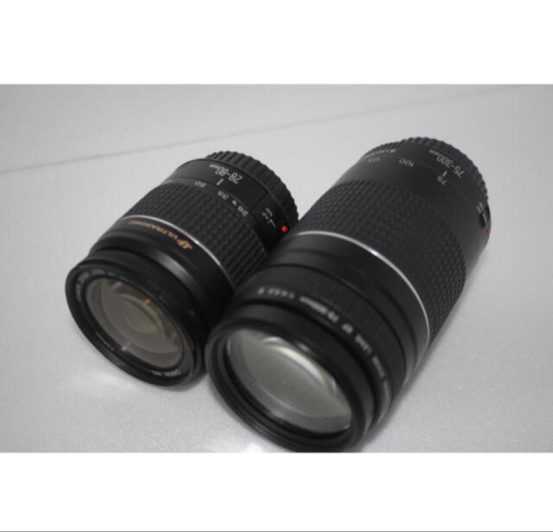 美品　Canon EOS 6D Mark II標準&望遠ダブルレンズセット