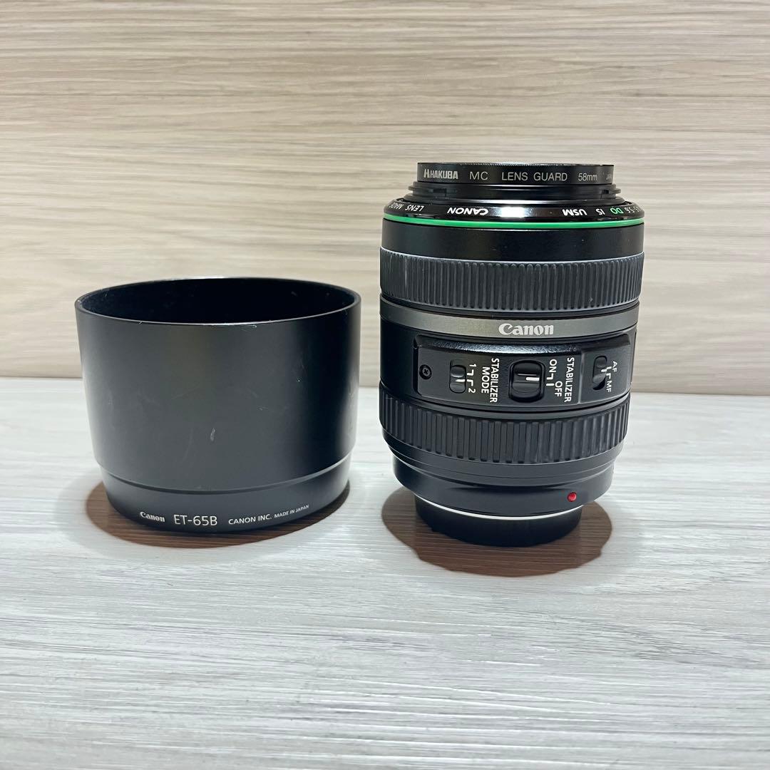 キャノン Canon EF 70-300mm f/4.5-5.6 DO 3317