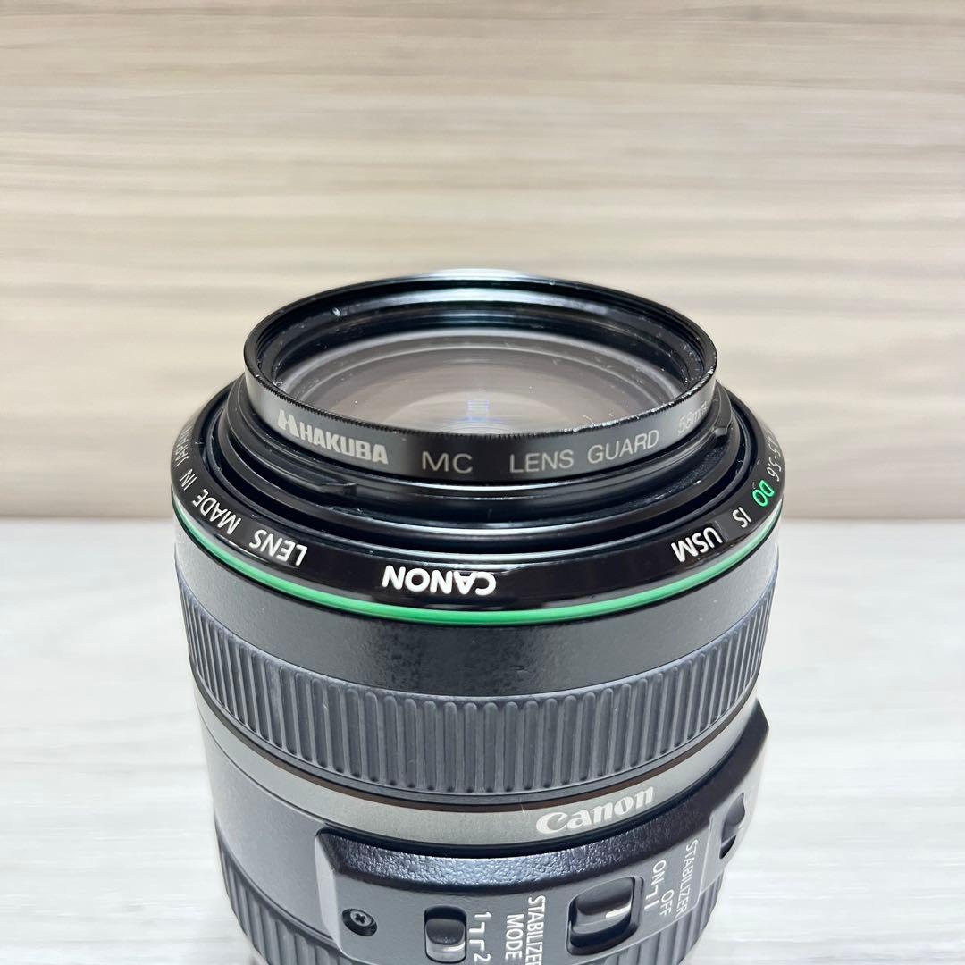 キャノン Canon EF 70-300mm f/4.5-5.6 DO 3317
