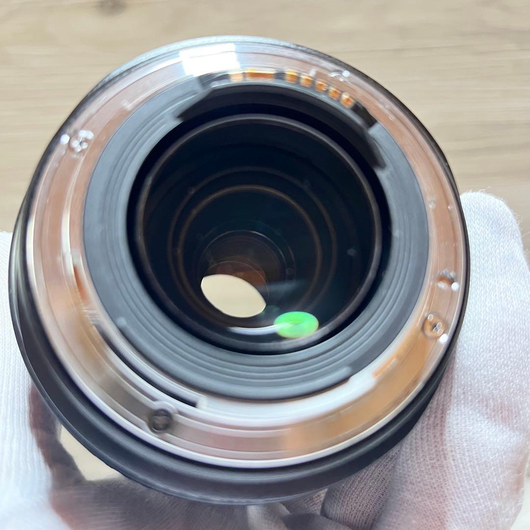 キャノン Canon EF 70-300mm f/4.5-5.6 DO 3317