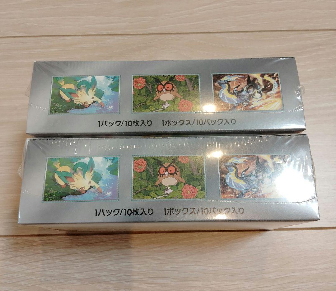 ポケモンカードゲーム テラスタルフェスex 2BOX 未開封シュリンク付き