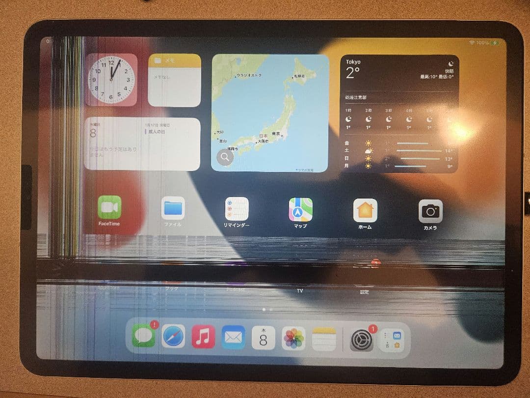 り*ご様 iPad Pro 11 (第1世代) 512GB Wi-Fi セルラー