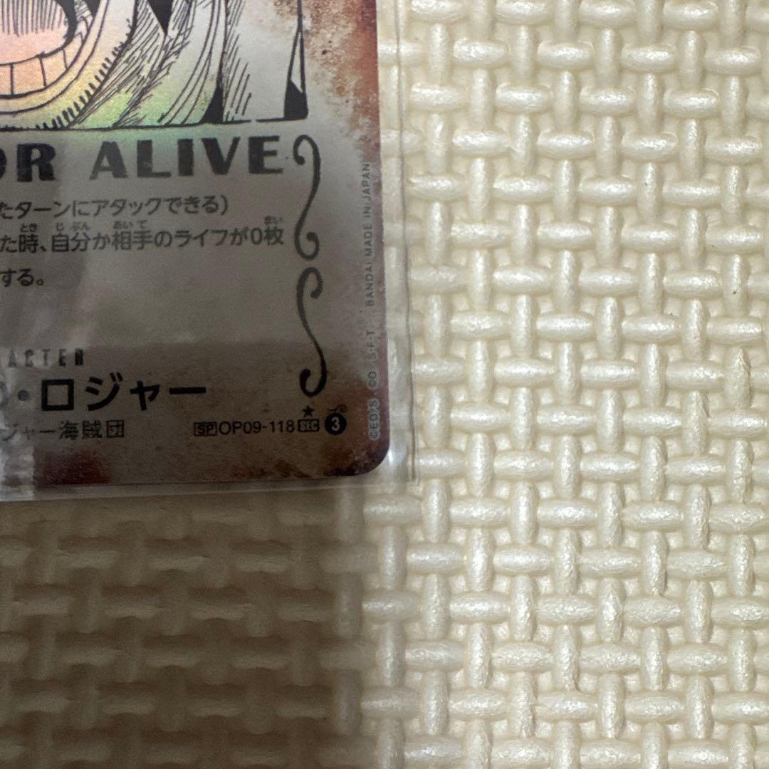 p*n様 ゴール・D・ロジャー　手配書SECパラレル