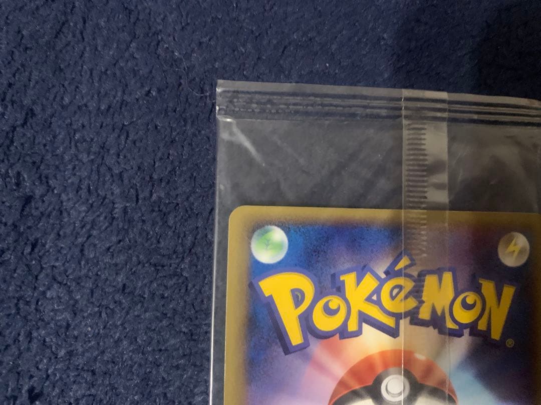 未開封品　ポケモンカード ポケパークのラティオス HP80 045/PCG-P