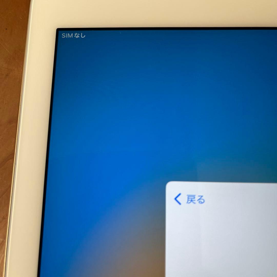 iPad Pro 12.9 初代 128GB Wi-Fi+Cellular