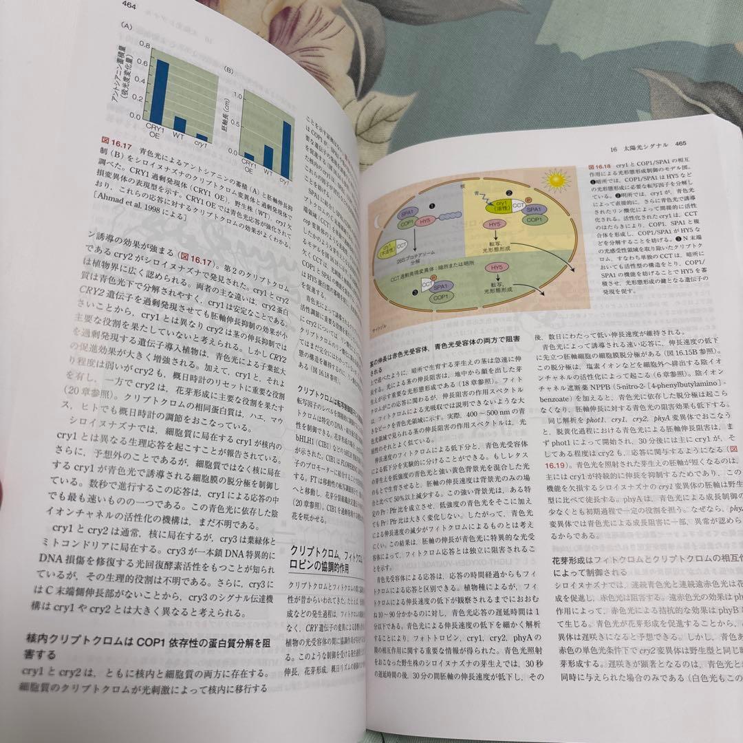 【新品未使用、美品】テイツ/ザイガー 植物生理学・発生学　テイツザイガー