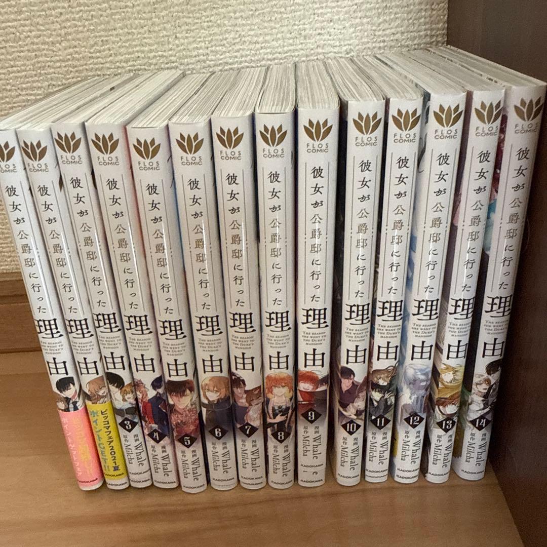 彼女が公爵邸に行った理由 全1～14巻