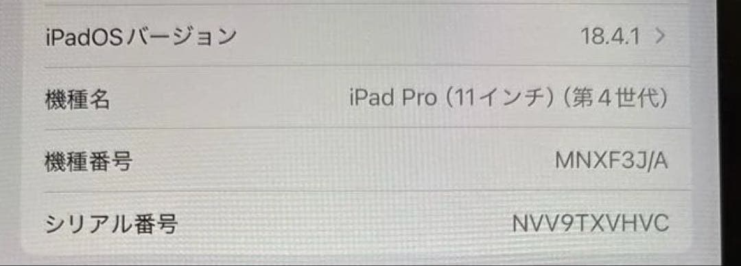 iPad Pro 11インチ第4世代 256GB + Apple Pencil2