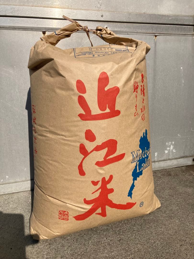 令和7年産 滋賀県産 コシヒカリ 玄米30㎏