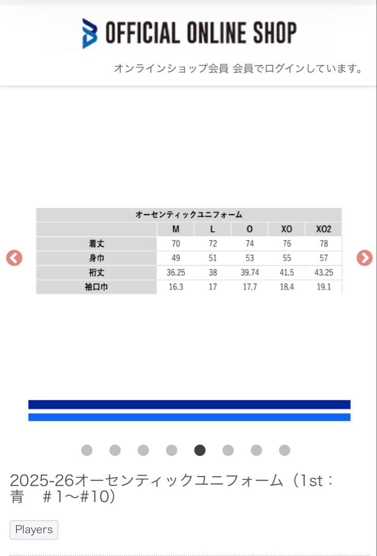大阪ブルテオン　オーセンティックユニフォーム ブリザール