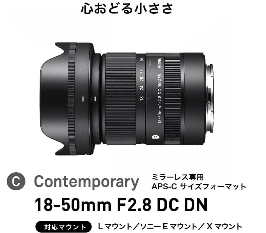 Sigma18-50mm F2.8 Eマウント Contemporary