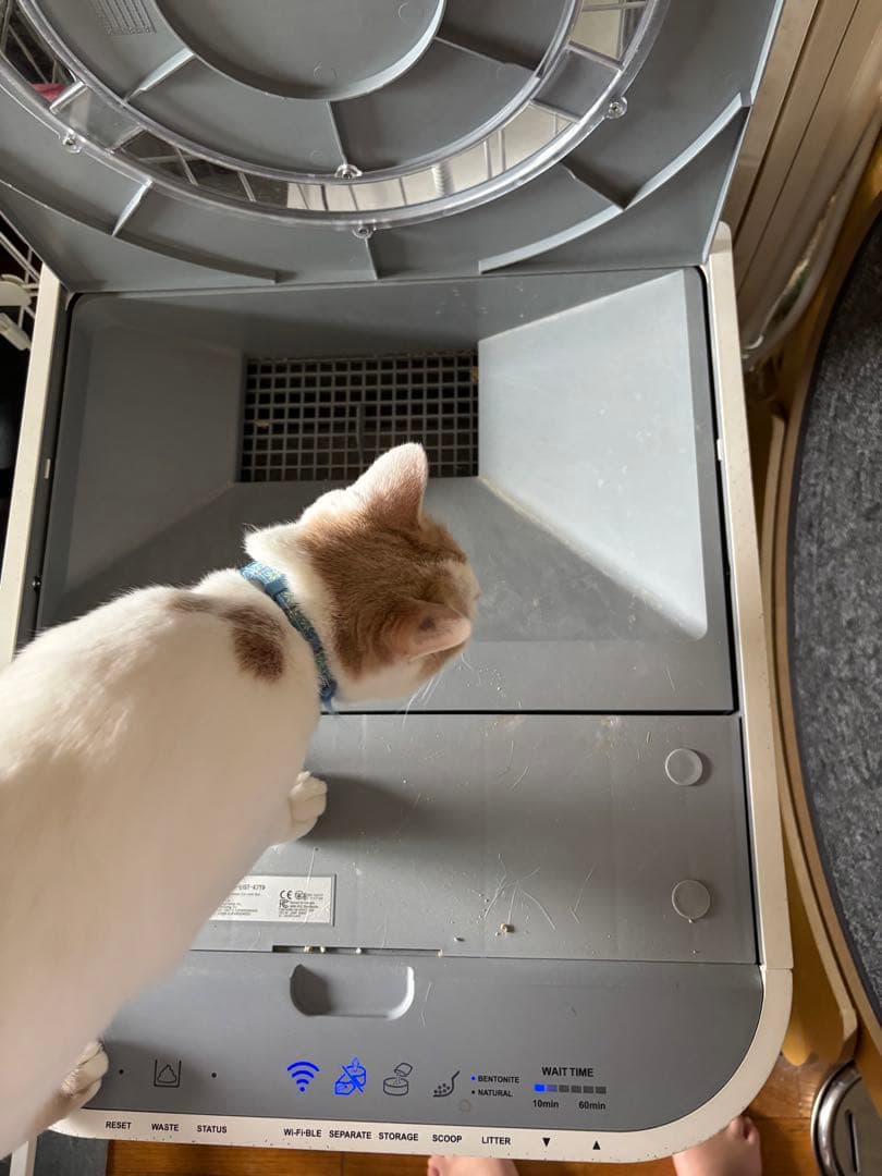 LavvieBot 自動猫トイレ ホワイト