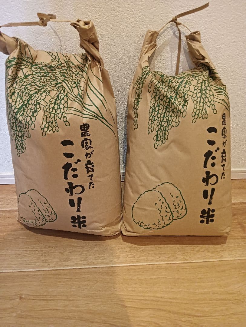 お米　群馬県産コシヒカリ精米前20キロ 令和7年新米