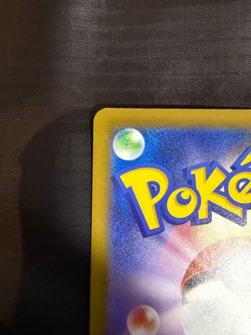 メガカイリューex MUR ローダー、おまけ付