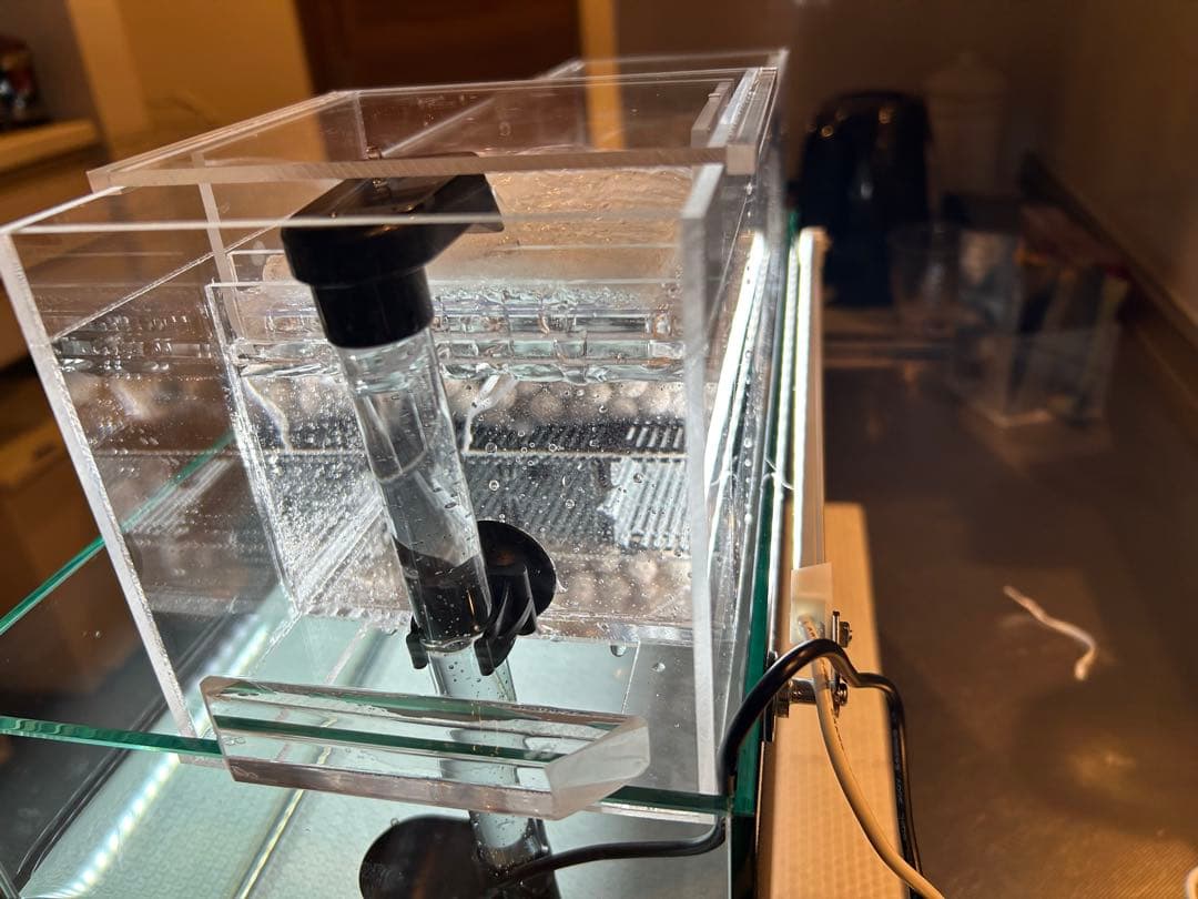 まりもアクリル水槽