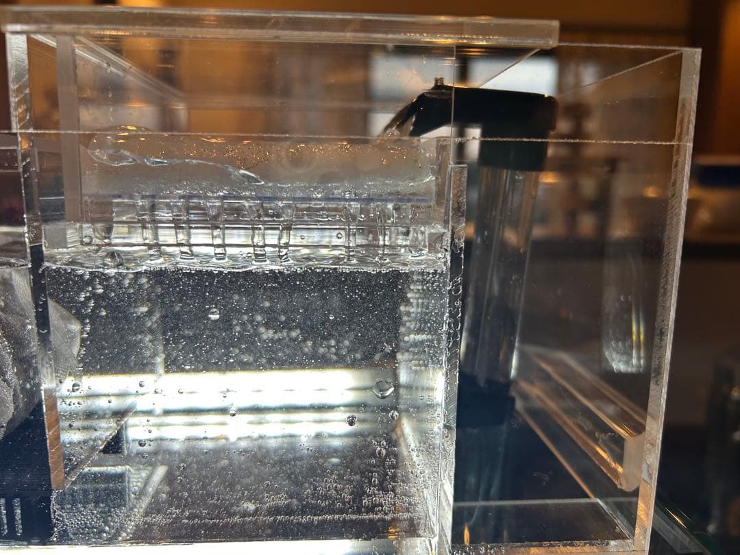 まりもアクリル水槽