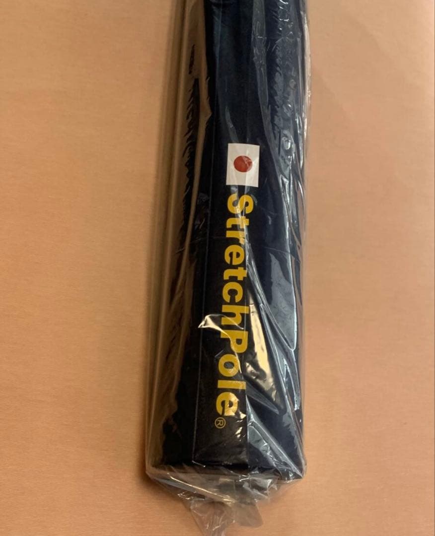 StretchPole エクササイズ DVD付２０２４JAPAN