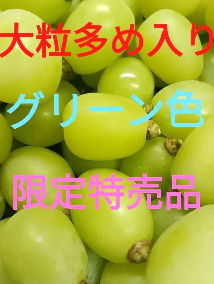 大粒多め入りグリーン色シャインマスカット増量の5.5キロ粒バックになります。