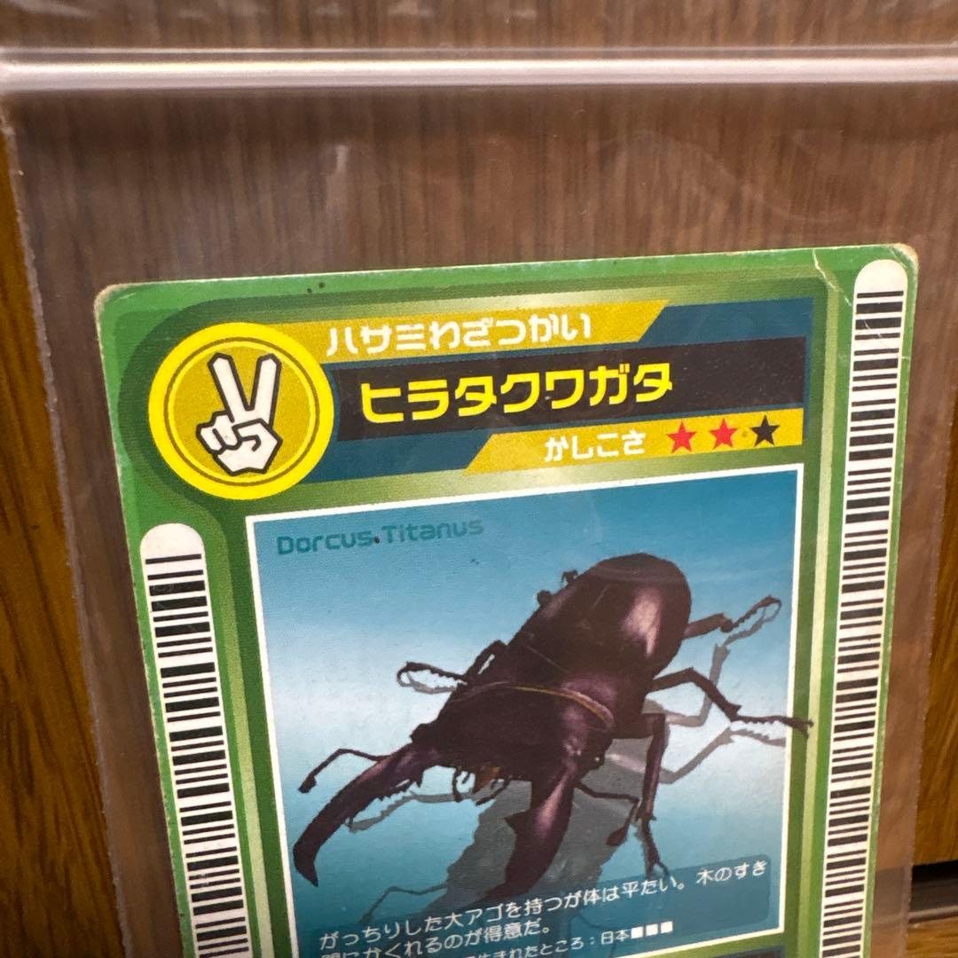 ムシキング ロケテスト ヒラタクワガタ 希少レア