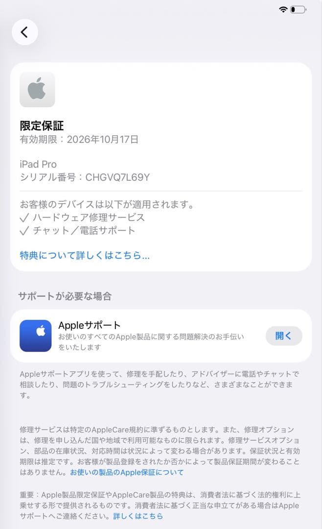 土日限定価格【Apple】iPad pro(M4) 256GB WiFiモデル