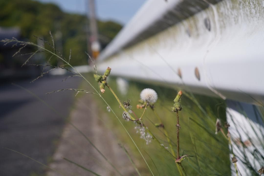 沈胴型 CONTAX Carl Zeiss Jena Sonnar 5cm F2