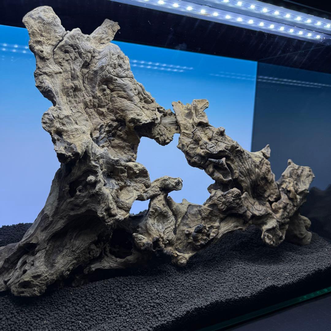 MJW-6882 ジンジャーウッド　レイアウトセット　天然流木　アクアリウム