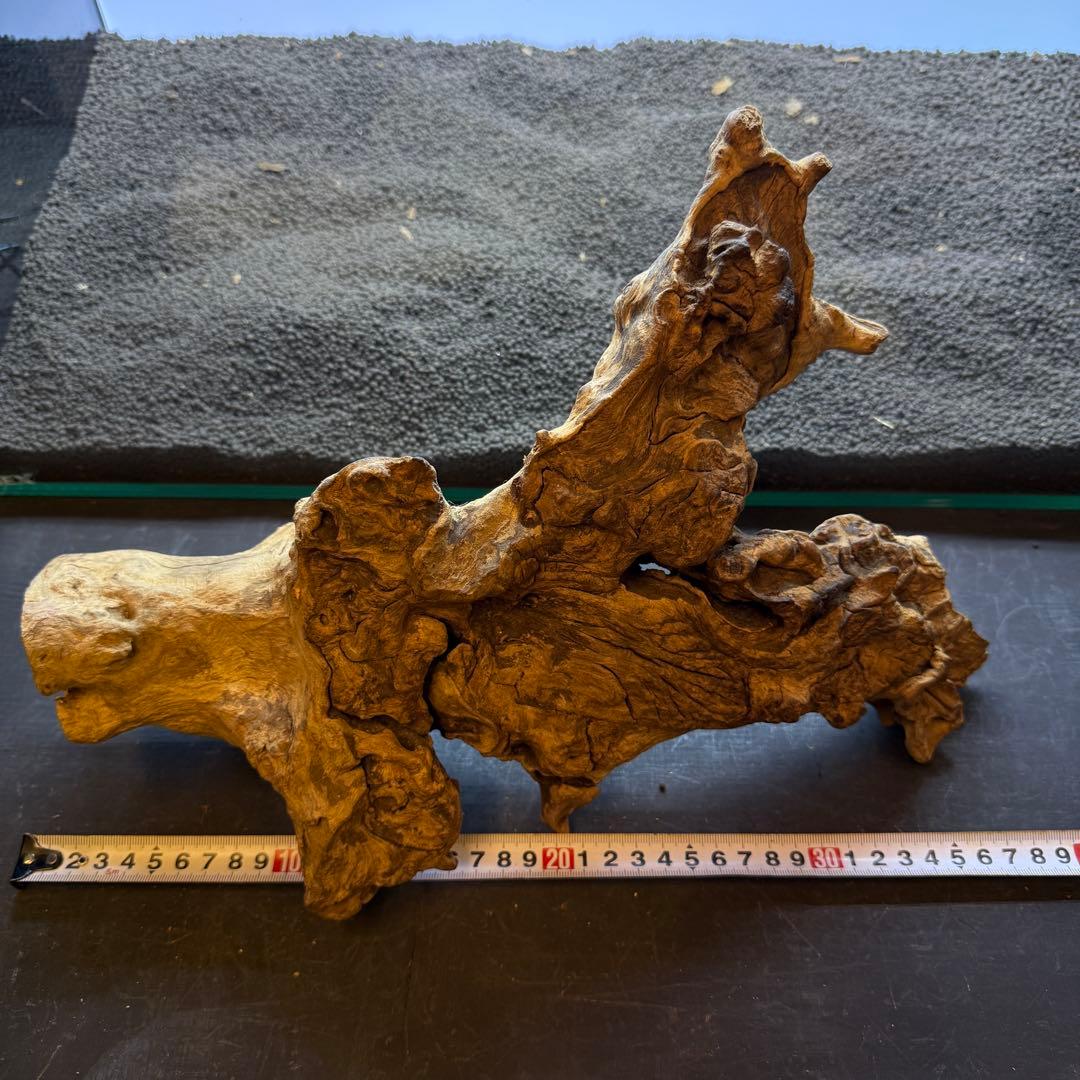 MJW-6882 ジンジャーウッド　レイアウトセット　天然流木　アクアリウム